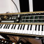 Microkorg sintetizador Vocoder