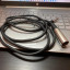 Cable Hosa plug to XLR