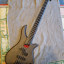 Bass Collection