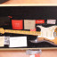 Fender Stratocaster Eric Johnson Thinline