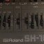 Roland SH101
