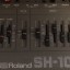 Roland SH101