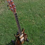 Washburn Falcon, guitarra vintage