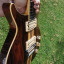 Washburn Falcon, guitarra vintage