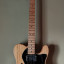 Fender Telecaster thinline 72 MIM con CuNiFe (rebaja)