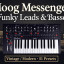 MOOG Messenger/ Funky Leads & Basses Soundpack