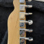 Fender telecaster standard (USA) 1999