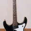 Eastwood Sidejack DLX