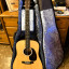 Martin D-10e Road Series