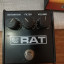 Proco rat blackface