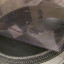 2 platos Technics SL1200 MK2