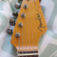 Fender Stratocaster Eric johnson Rosewood