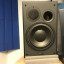 Monitores DynAudio Acustics BM15p con Etapa Park Audio