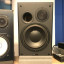 Monitores DynAudio Acustics BM15p con Etapa Park Audio
