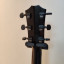 Taylor 214 ce BLK DLX