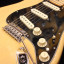 Fender Deluxe Stratocaster 2016