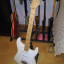 Fender Eric Clapton 2004 precio de derribo 1000euros por unos días