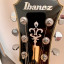 Guitarra eléctrica semihueca Ibanez AGS73FM