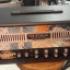 Mesa boogie single rectifier con case