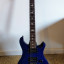 PRS SE custom 24