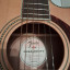 Fender PM-3 electro-acústica