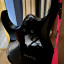Ibanez RGMS7-BK Multiscale