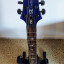 PRS SE custom 24