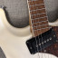 Mosrite Ventures I