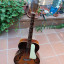 Airline archtop made in USA 1960s (también cambio)