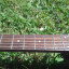 Guitarra acústica Takamine G Series (Con prueba de sonido)