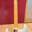 Fender stratocaster custom shop Master Designed MIM