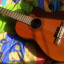 Guitarra electroclásica VALENCIA CG-190CE con previo