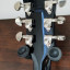 Epiphone E335 dot