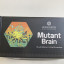 Hexinventer Mutant Brain - Midi / CV Eurorack