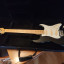 Fenix Stratocaster Blackie ( reservada )