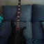 Bajo Spector NS2000B (1998)