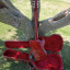 Gibson SG´61 Standard Vintage Cherry Maestro Vibrola.==# RESERVADA#==