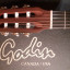 Guitarra Godin ACS Nylon