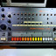 Roland TR808