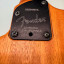 Fender stratocaster acoustasonic USA