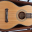 Guitarra acústica tamaño parlor Washburn R315kk