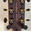 Guitarra Acústica Harley Benton CLO-70ASR SBK