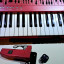 Roland SH101 Red Edition