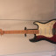 SX Stratocaster