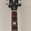 Guitarra Eléctrica Harley Benton SC-550 II FTB