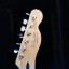 Fender Player Series Tele MN PWT