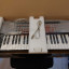 Teclado Novation SL mkii