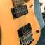 Washburn N2