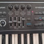 Roland Juno DS 61 Sintetizador