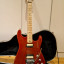 Superstrat tipo Charvel custom Tao Guitars, Belgica